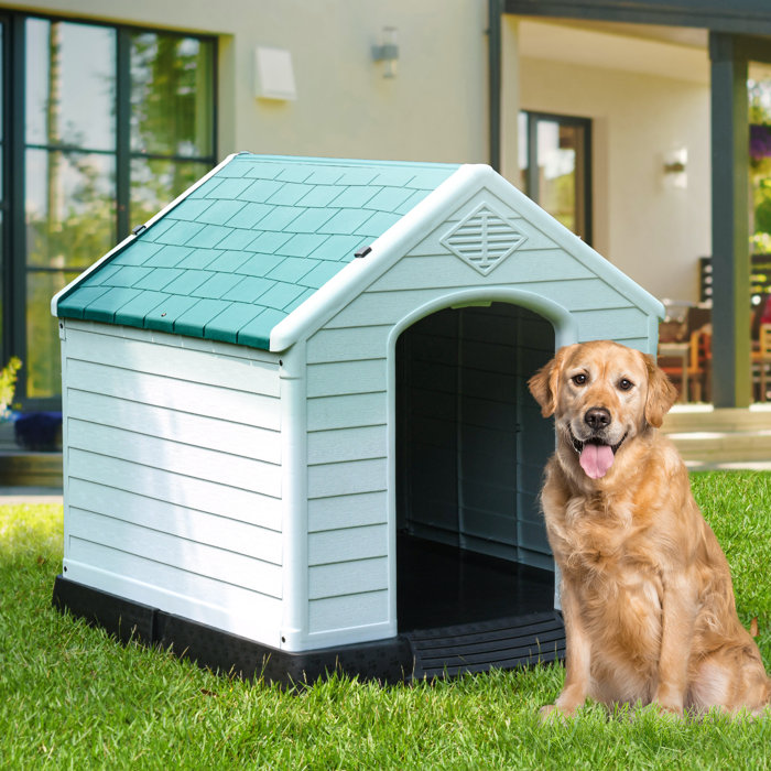 Archie & Oscar™ Shelia Plastic Dog House & Reviews Wayfair